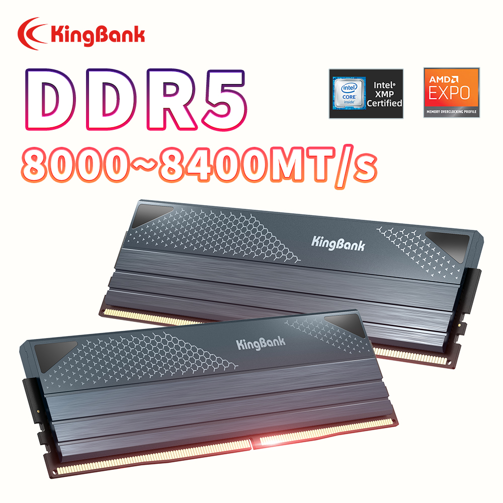 KingBank DDR5 KFXB Arbeitsspei – Ddr5 4800Mhz Bewertung und Preis